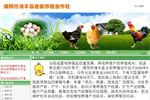 濮阳市清丰县合家养殖合作社网站开通