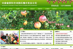 河阴突尼斯软籽石榴树苗网开通