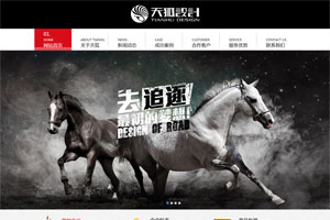 郑州天狐设计有限公司