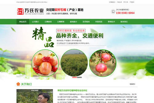 荥阳万氏软籽石榴种植专业合作社
